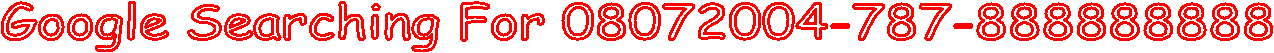 Google Searching For 08072004-787-888888888