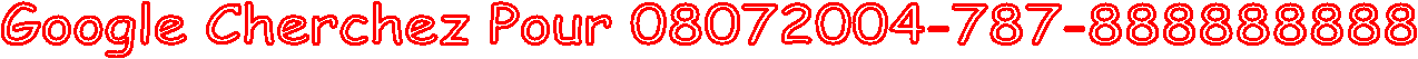 Google Searching For 08072004-787-888888888