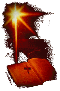 Le 6 d�cembre est la Journ�e nationale de comm�moration et d'action contre la violence faite aux femmes. 