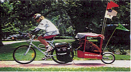 fox.gif (78885 octets)